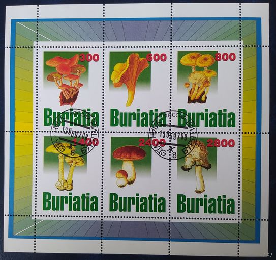 BURIATIA 1997 Грибы