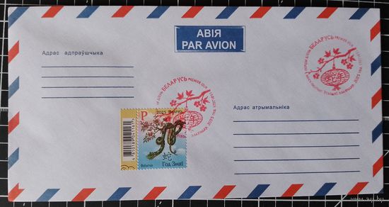 СГ Беларусь. 2025. Год змеи