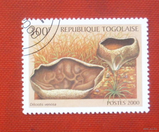 Того. Грибы. ( 1 марка ) 2000 года. 5-11.