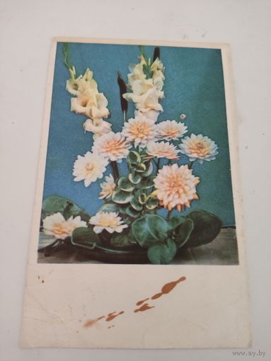 Открытка с фото Л.Раскина 1968г.