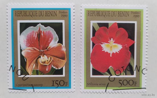 Бенин.1999.орхидеи