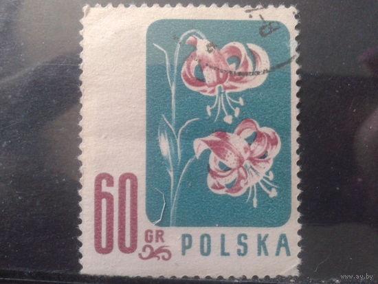Польша 1957 Цветы