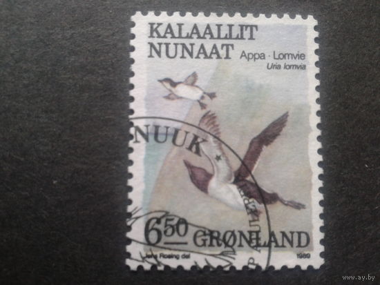 Дания Гренландия 1989 птицы
