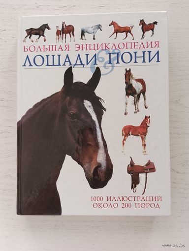 Энциклопедия, книга, Лошади и пони.