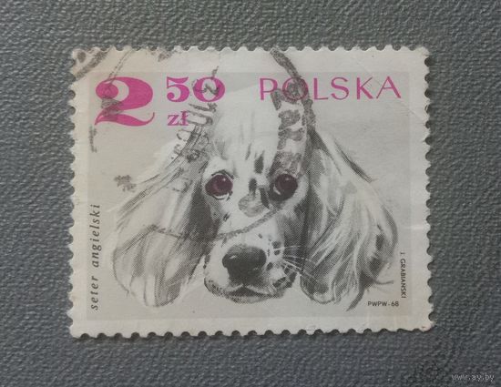 Польша 1968 Собака