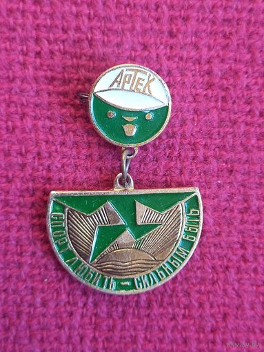 Артек. Спорт любить - сильным быть!