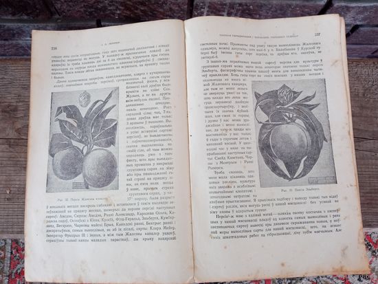 Книга Мичурина на белорусском языке