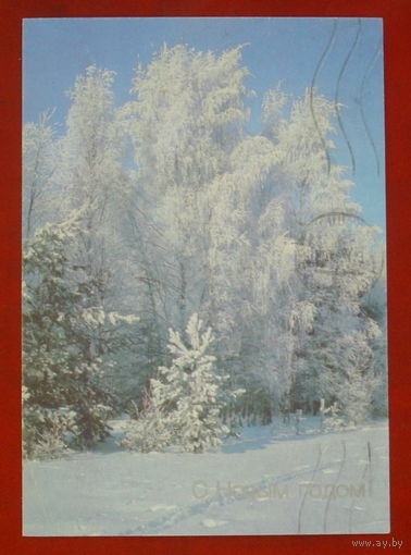 С новым годом! Подписанная. 1990 года. Фото Дорожинского. 842.