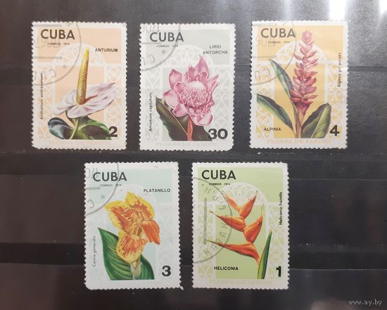 Куба. 1974 год. Флора. Цветы (222)