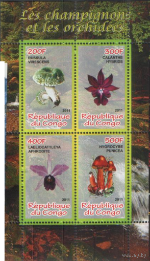 Грибы и орхидеи 5,  ПБ**