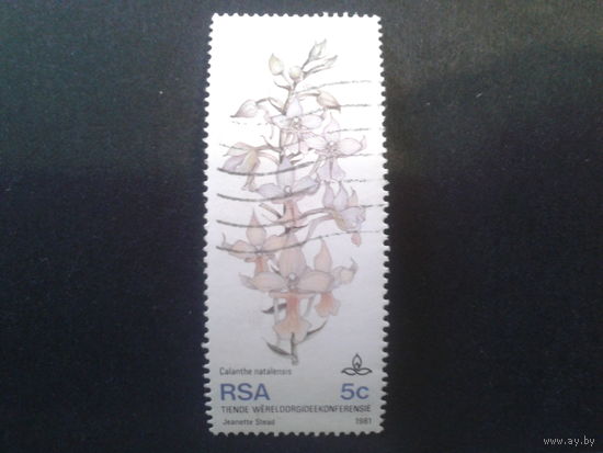 ЮАР 1981 цветы