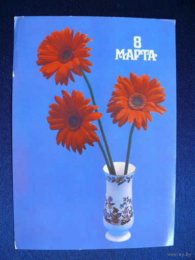 Фото Медведева А., 8 марта, 1986, чистая.