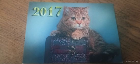 Календарь 2017