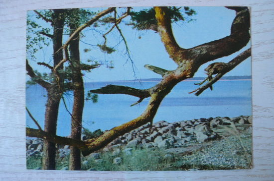 Прибалтика, Латвийская ССР, Море у Туи; чистая.