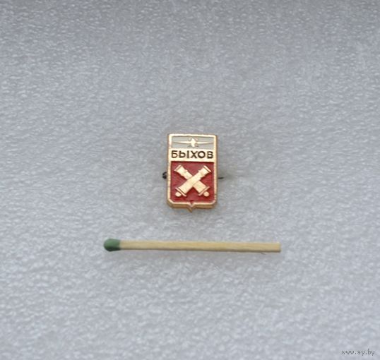 Быхов.