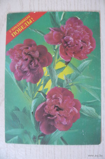 Костенко П., С праздником Победы! 1991, 1992, чистая, ДМПК.