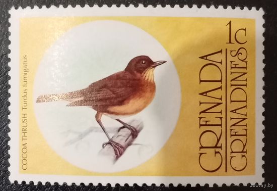 Гренада. Фауна. Птицы. Cocoa Trush