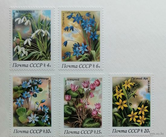 СССР/1983/ Цветы. Весенние. Флора. /  Серия 5 марок