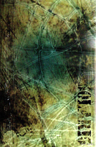Solaris "Distorted Perception" кассета