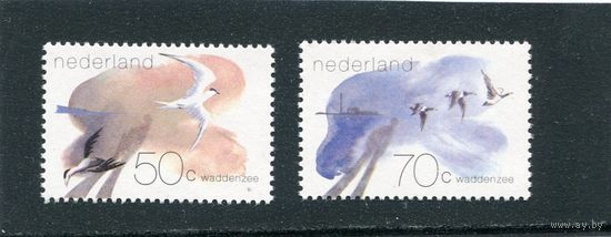 Нидерланды. Фауна Ваттового моря, мелководье