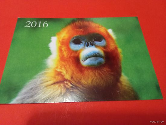 Календарик 2016г