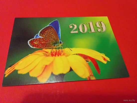 Календарик 2019г.