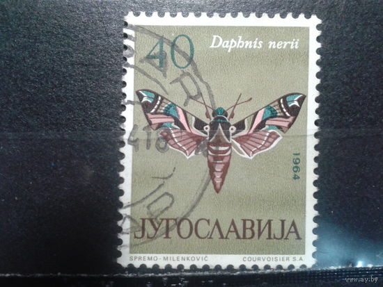 Югославия, 1964. Бражник