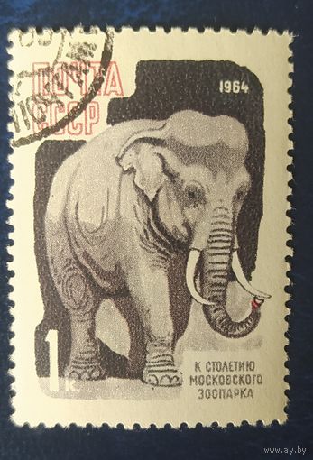СССР 1964 слон, зоопарк 1 из 7.