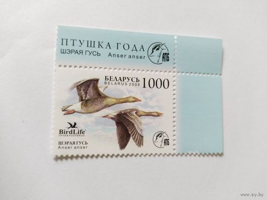 Беларусь 2009 птица года