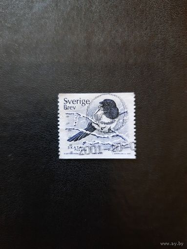 Швеция. Сорока. 2001г. гашеная