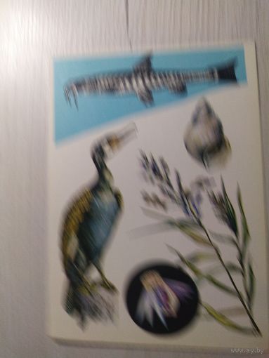 Открытка.