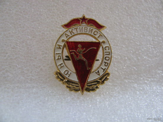 Знак. Юный активист спорта (ВХО)
