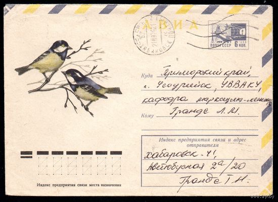 Художественный маркированный конверт СССР прошедший почту N 9579 (19.03.1974) АВИА  Синицы московки