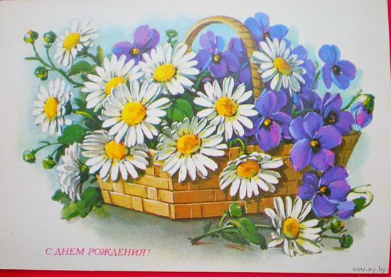 Куртенко Е. Г., С днем рождения, 1980, подписана.