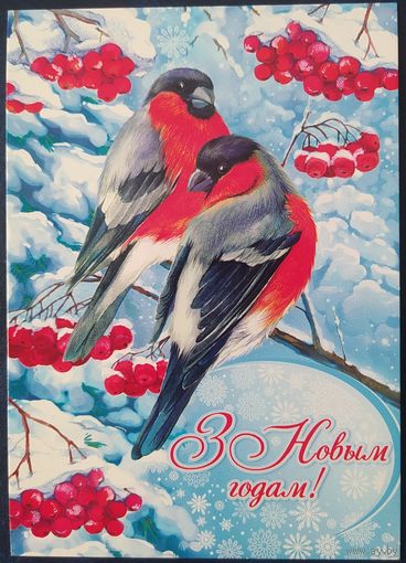 Беларусь 2024 открытка С новым годом.