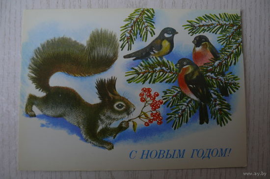 Достян Р., С Новым годом! 1990, 1991, чистая (белка, снегирь, синица).