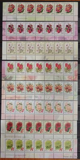 Марки Беларуси 2008, Двенадцатый стандарт Садовые цветы в нижних сцепках, номера заказов подряд, КМ 738-743, 263 - 2008 / 270 - 2008, каталог 92,3 евро