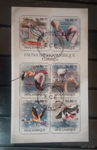 ЛИСТ ФАУНА ПТИЦЫ  СТО