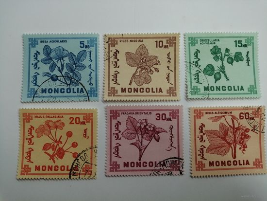 Монголия 1968. Ягоды Монголии