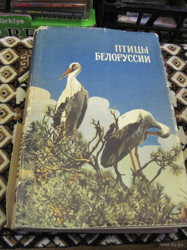 А.В. Федюшин. Птицы Белоруссии. 1967 г.
