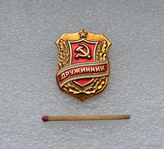 Дружинник.