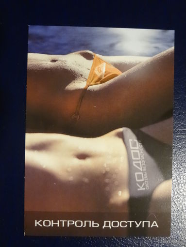 Календарик 2006 г. Контроль доступа.