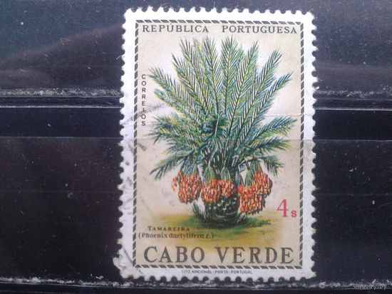 Кабо Верде, колония Португалии, 1968. Стандарт. Финиковая пальма
