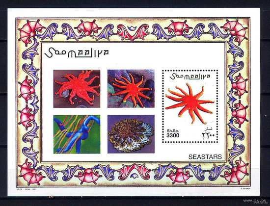 2001 Сомали. Морские звёзды    MNH