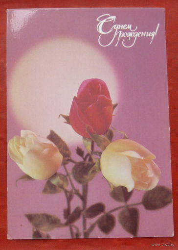 С днём рождения! Подписанная. 1987 года. Фото Гиридимского. 1018.