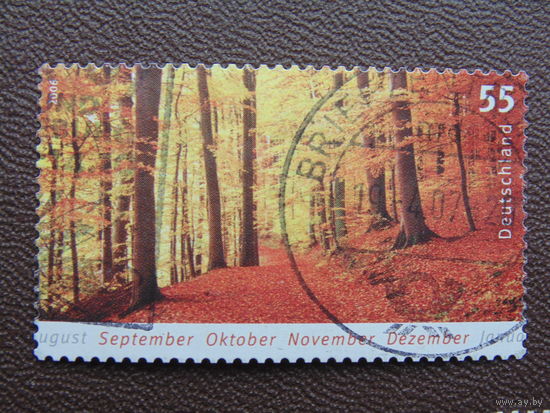 Германия 2006 г.