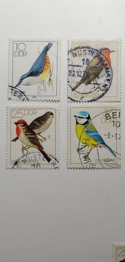 ГДР 1979. Певчие птицы