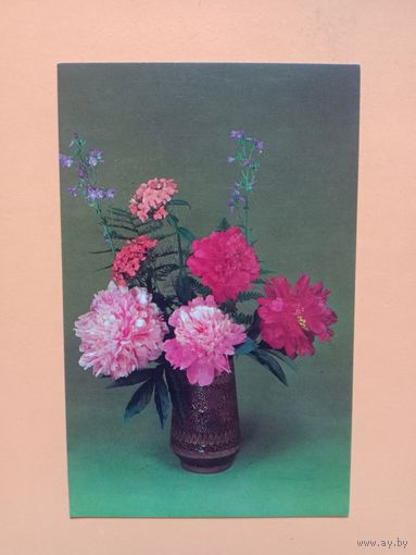 Открытка 1983