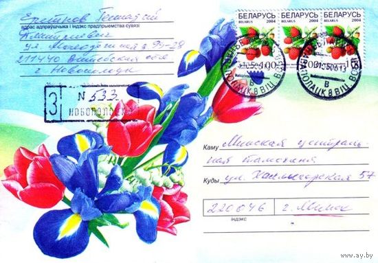 2006. Конверт, прошедший почту "Цветы-6"