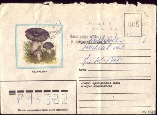 1982 год Сыроежка
